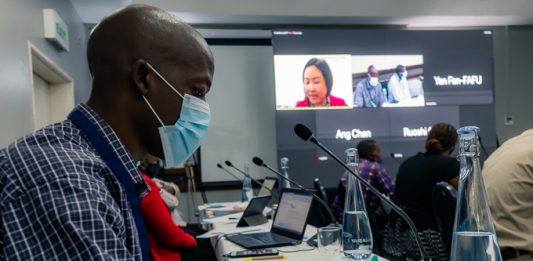 Zimbabwe now promoting mushroom farming